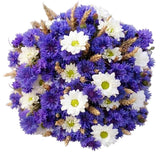 Chrysanthemum Daises and Cornflowers Bouquet - Flowers Box London