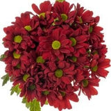 Chrysanthemum Daisy Red Bouquet - Flowers Box London
