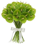 Classic Anthurium Bouquet