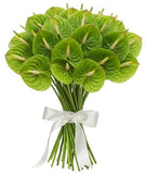 Classic Anthurium Bouquet