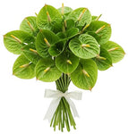 Classic Anthurium Bouquet