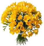 Classic Aromatic Freesias Bouquet - Flowers Box London