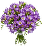 Classic Aromatic Freesias Bouquet