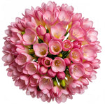 Classic Aromatic Freesias Bouquet