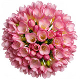 Classic Aromatic Freesias Bouquet