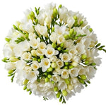 Classic Aromatic Freesias Bouquet