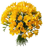 Classic Aromatic Freesias Bouquet