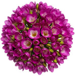 Classic Aromatic Freesias Bouquet