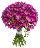 Classic Aromatic Freesias Bouquet