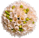 Classic Aromatic Freesias Bouquet