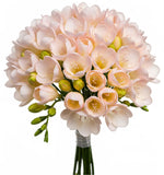 Classic Aromatic Freesias Bouquet