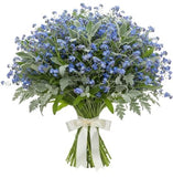 Classic Blue Forget Me Not Bouquet with Silver Leaves - Flowers Box London