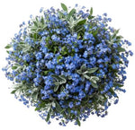 Classic Blue Forget Me Not Bouquet with Silver Leaves