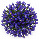 Classic Blue Iris Bouquet - Flowers Box London