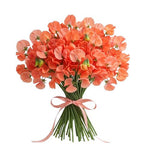Classic Bouquet of Coral Sweet Pea