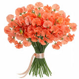 Classic Bouquet of Coral Sweet Pea