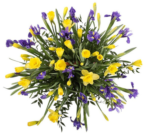Classic Bouquet of Daffodils and Iris with Greenery