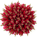 Classic Bouquet of Red Snapdragons - Flowers Box London