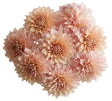 Classic Cafe au Lait Dhalia Bouquet - Flowers Box London