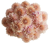 Classic Cafe au Lait Dhalia Bouquet - Flowers Box London