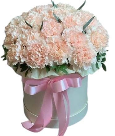 Classic Carnations Box with Greenery - Elegant Floral Gift by Flowers ...
