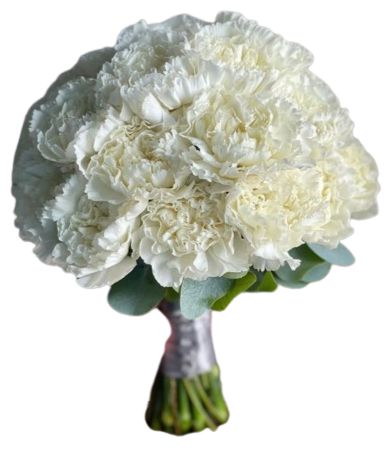 Classic Carnations Bridal Bouquet