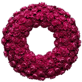 Classic Carnations Wreath - Flowers Box London