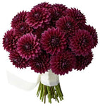 Classic Cerise Dahlia Bouquet