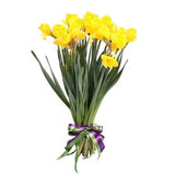 Classic Daffoldis Bouquet - Flowers Box London