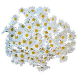 Classic Daisies Bouquet - Flowers Box London