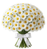 Classic Daisies Bouquet - Flowers Box London