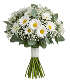 Classic Daisy Leucanthemum Bridal Bouquet - Flowers Box London