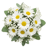 Classic Daisy Leucanthemum Bridal Bouquet - Flowers Box London