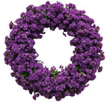 Classic Limonium Door Wreath