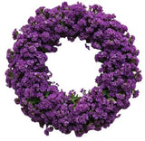 Classic Limonium Door Wreath - Flowers Box London