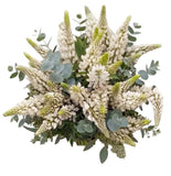Classic Lupinus Bouquet with Greenery - Flowers Box London