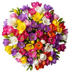 Classic Multicolored Freesias Bouquet