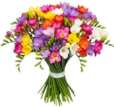 Classic Multicolored Freesias Bouquet - Flowers Box London