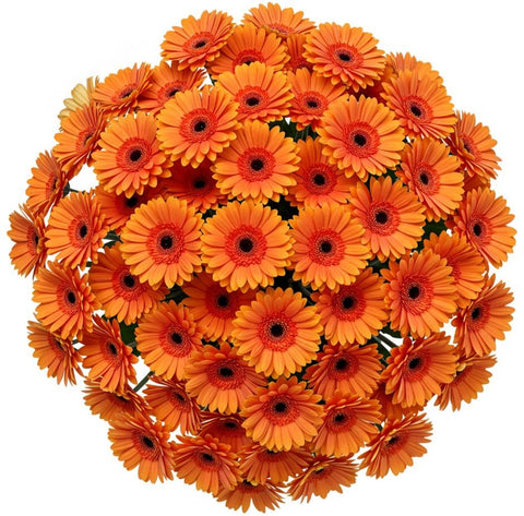 Classic Orange Gerbera Bouquet - Flowers Box London