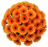Classic Orange Gerbera Bouquet - Flowers Box London