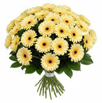 Classic Pastel Yellow Gerberas Bouquet