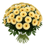 Classic Pastel Yellow Gerberas Bouquet