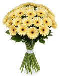 Classic Pastel Yellow Gerberas Bouquet