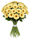 Classic Pastel Yellow Gerberas Bouquet - Flowers Box London