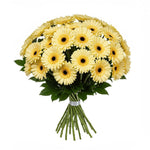 Classic Pastel Yellow Gerberas Bouquet