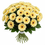 Classic Pastel Yellow Gerberas Bouquet - Flowers Box London