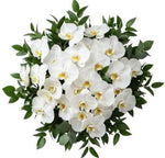 Classic Phalaenopsis Orchids Bouquet with Greenery - Flowers Box London