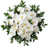 Classic Phalaenopsis Orchids Bouquet with Greenery - Flowers Box London