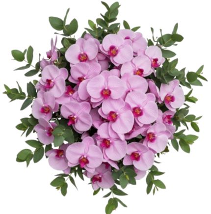 Classic Phalaenopsis Orchids Bouquet with Greenery