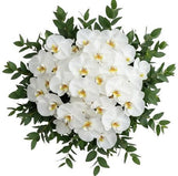 Classic Phalaenopsis Orchids Bouquet with Greenery - Flowers Box London
